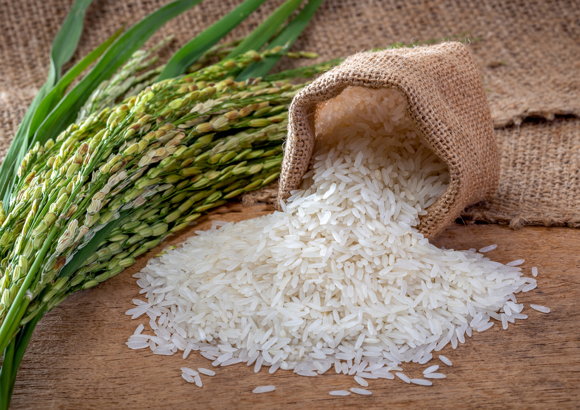 India Lifts Rice Export Restrictions — New Trade Opportunities Emerge