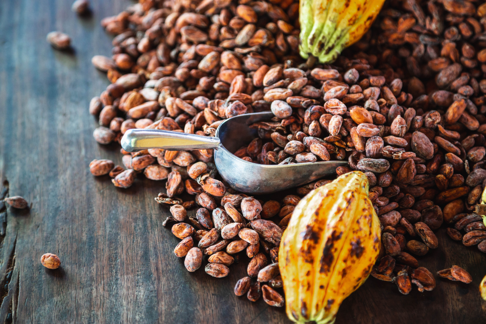 Cocoa Beans